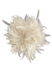 Feathered Plume